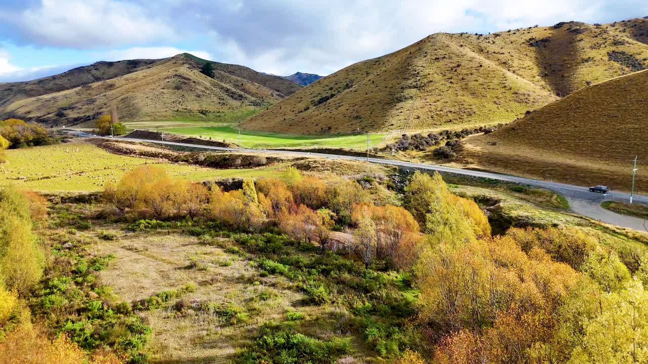 Drone glides above golden autumn trees, farmland, and a curving road in Wanaka, New Zealand, with rolling hills and soft daylight