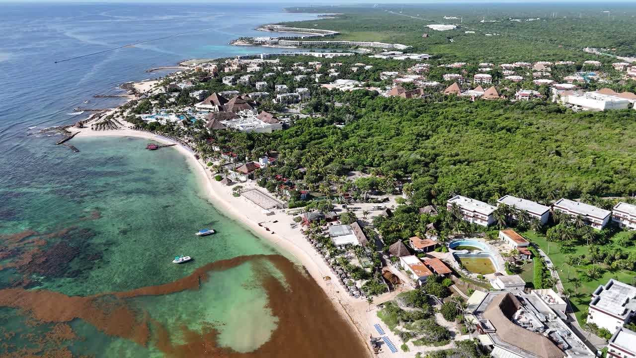 Aerial footage of Mexico’s Caribbean coastline blanketed with sargassum seaweed. Captures environmental impact, and affected resort beaches along the turquoise shoreline