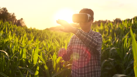 a modern farmer in a vr helmet drives a corn crop standing in a field at sunset in the sun. the concept of smart fields of use of neural networks in agriculture. the use of artificial intelligence to agriculture and harvest