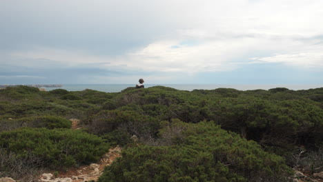 Boy-teenager-exploring-Cape-St-Vincent-and-walking-among-green-bushes-Portugal