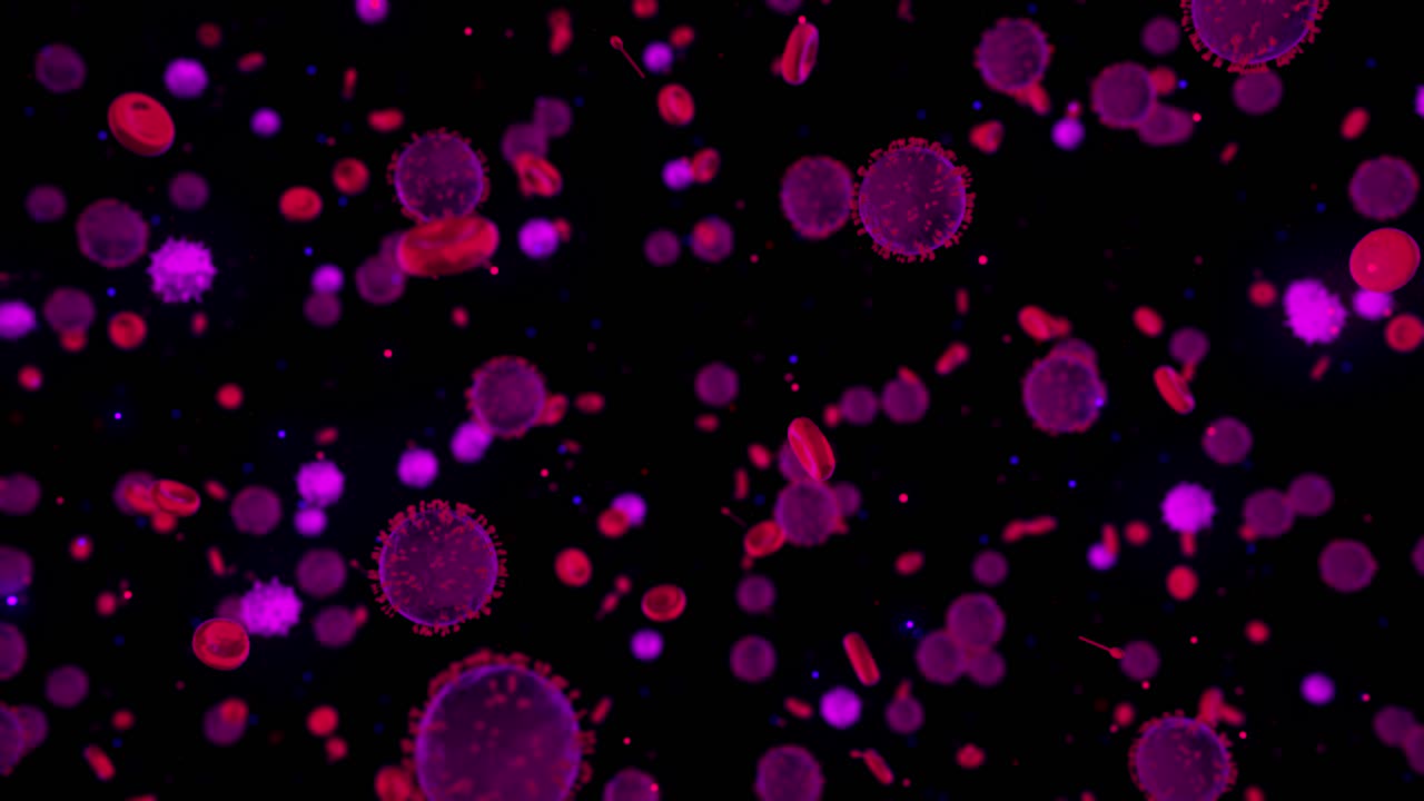 células sanguíneas y patógenos