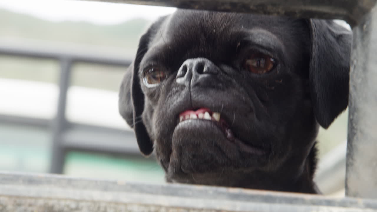 안 ⁇ 하세요, 신선한 공기, 내 옛 친구