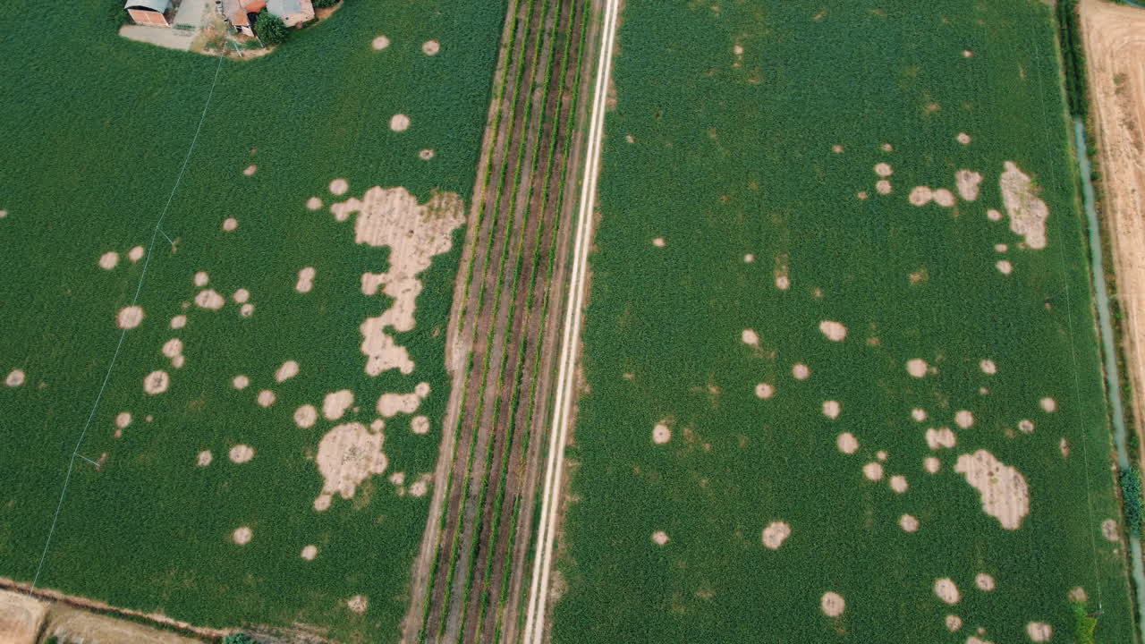 vista aérea de campos agrícolas con daños en los cultivos