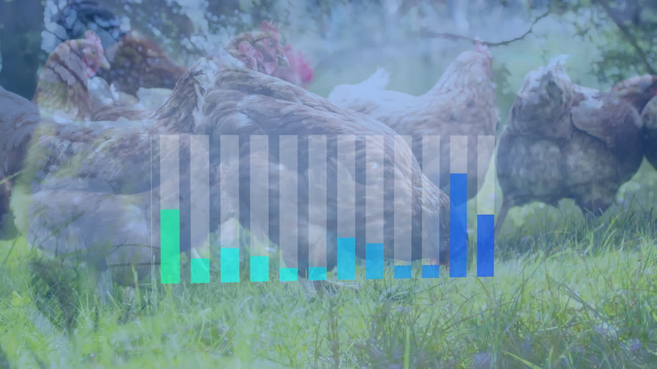 초원 에 있는  ⁇  위 에 있는 그래프 의 애니메이션