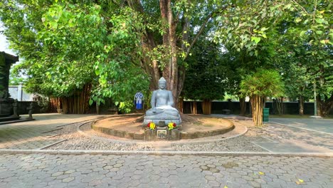 buddha statue under a tree in a monastery