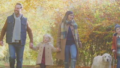 family with pet golden retriever dog walking along track in autumn countryside holding hands