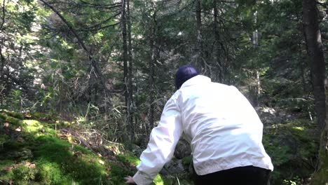 person hiking through a mossy forest