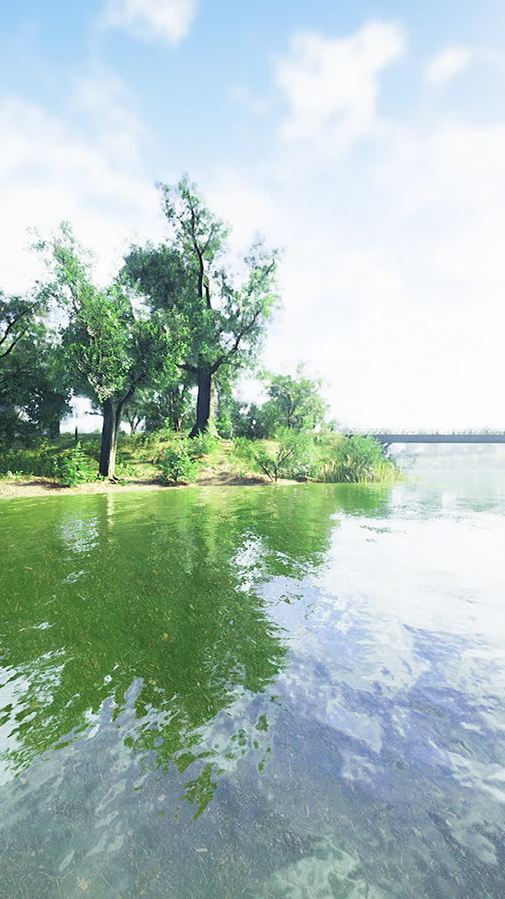 Tranquil river landscape seen under bright sunny sky with lush green trees