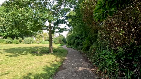 a peaceful walk through a lush park