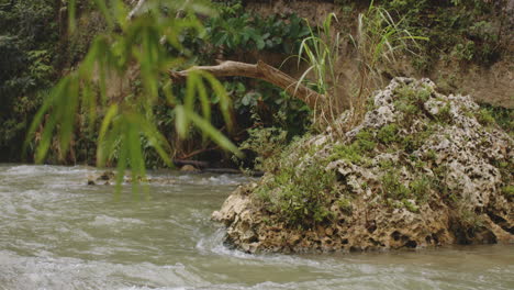 Water-Flowing-Around-Big-Rock-In-The-Forest-At-Rio-Tanama,-Puerto-Rico---wide-shot