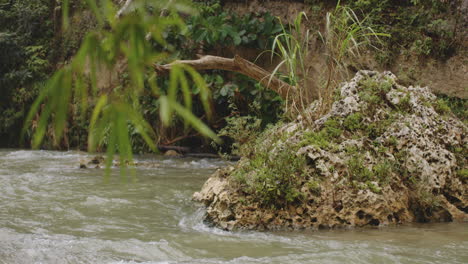 agua que fluye alrededor de una gran roca en el bosque en rio tanama, puerto rico - tiro ancho