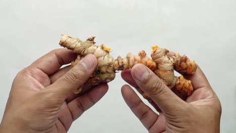 Nahaufnahme-Einer-Hand,-Die-Einen-Ingwer-Vor-Weißem-Hintergrund-Hält