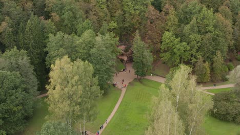 aerial panoramic drone shot over green lush forest park in autumn