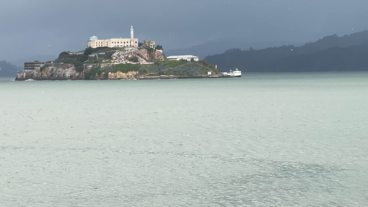 Sea lion in the water reveal of Alcatraz prison with a moody backdrop and seagulls surrounding it PAN UP REVEAL SHOT