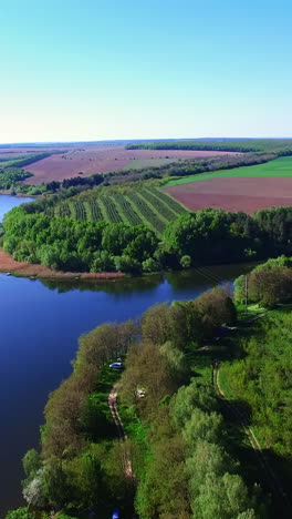 flying over the green waterfront of blue calm river on sunny day. beautiful farmlands at backdrop of clear azure sky. vertical video
