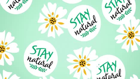 animación de varios textos y logotipos naturales que caen, y cabezas de flores blancas en verde