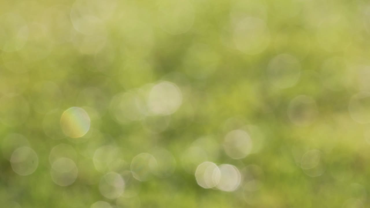 la naturaleza abstracta círculo bokeh fondo de movimiento.