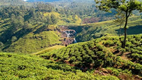 Immerse yourself in the peaceful charm of Saint Clairs, Nuwara Eliya, Sri Lanka, as a woman walks gracefully through the vibrant green tea plantations with the iconic Saint Clairs Waterfalls cascading