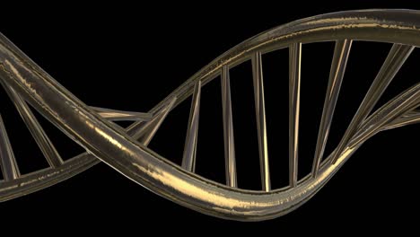 golden spiral of dna. segment rotation. metallization of the material. alpha channel.