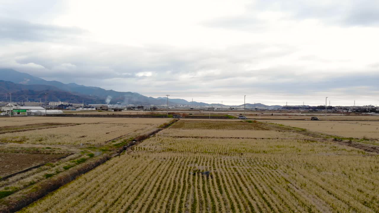 Scenic View Of Crops Planted On The Rice Fields In Japan On A Cloudy Day With Cars Driving On The Road In A Distance - Panoramic Shot