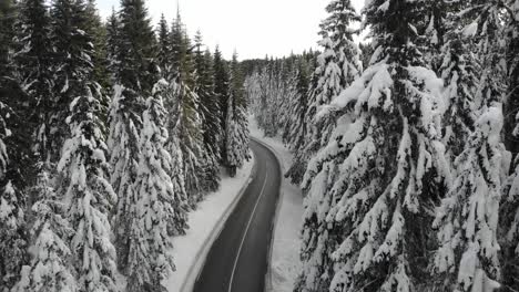 curvy windy road in snow covered forest, top down aerial view-5