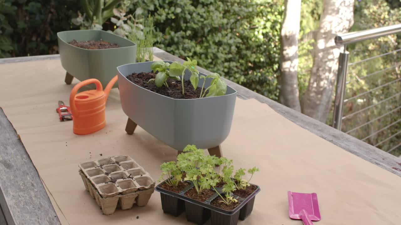 Gardening on patio, various plants in pots with watering can and tools nearby