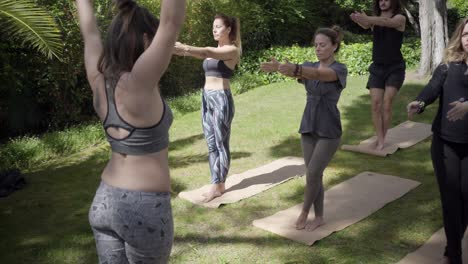 yoga group training together in park