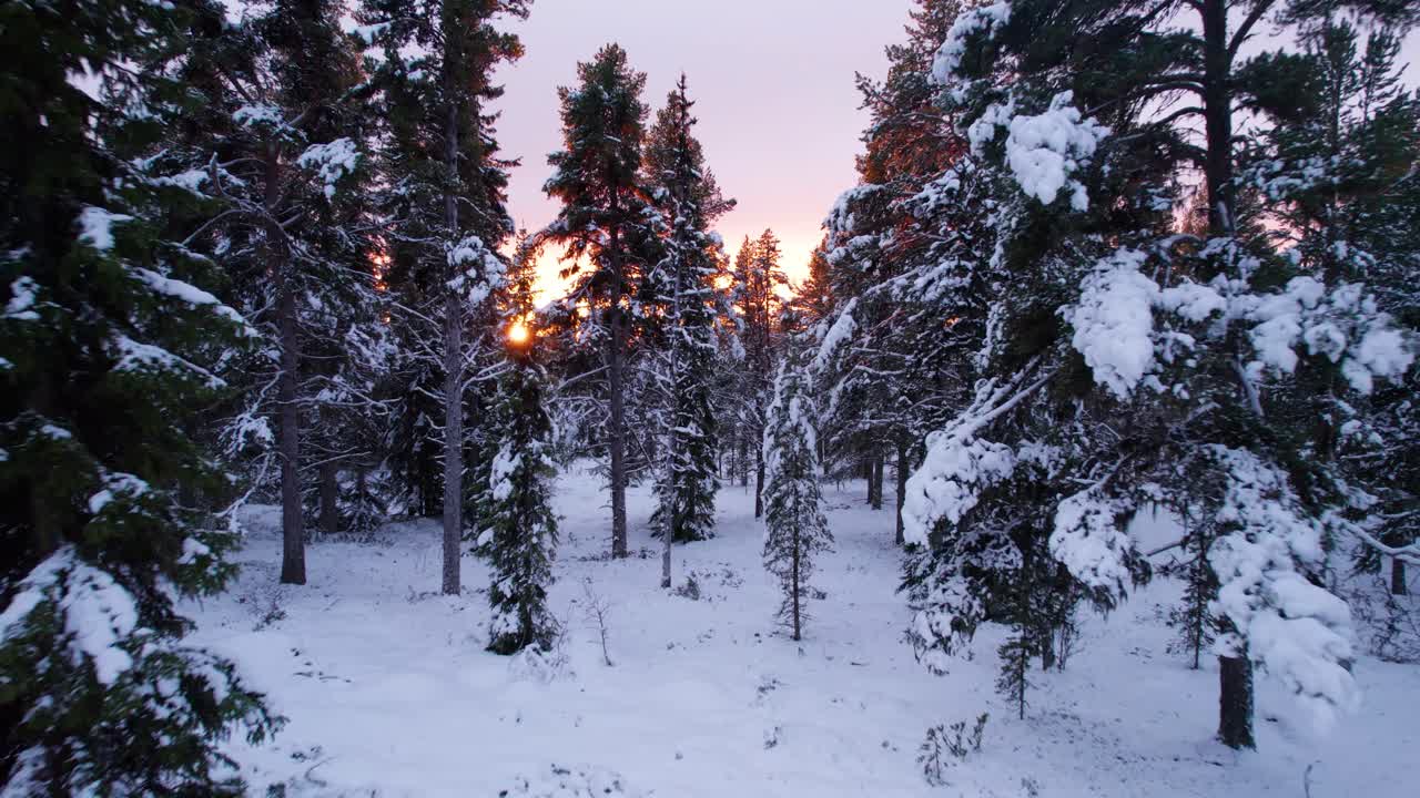 Svævende gennem et vinterskovlandskab i en brændende solnedgang
