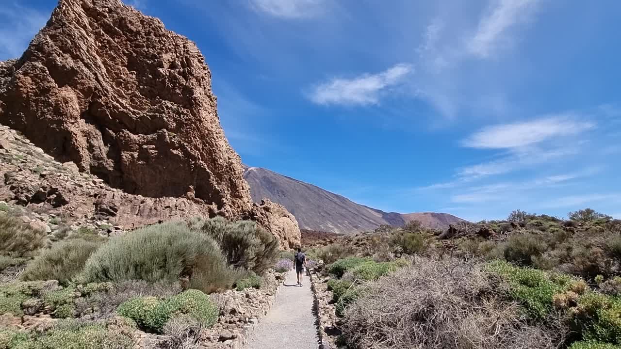 hombre con una mochila paseando por el parque nacional del teide, mientras sostiene su cámara, paisaje volcánico, cielo azul, plantas verdes, tenerife, españa