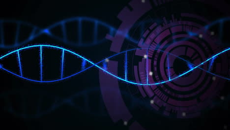 dna strand and technological gears animation