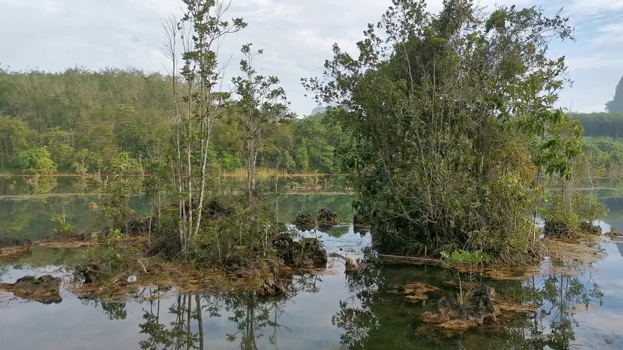 태국 의 호수 위 에 아름다운 아침 안개 를 드러내는 판닝  ⁇  과 함께 클롱 뿌리 운하 의 풍경적 인 전망