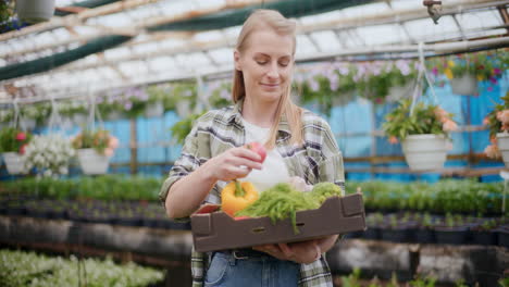 Farmer-Examining-Fresh-Vegetables-In-Greenhouse