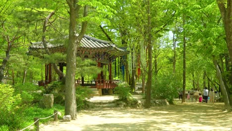 seonangdang - a shrine located near the village entrance dedicated to the village guardian spirit