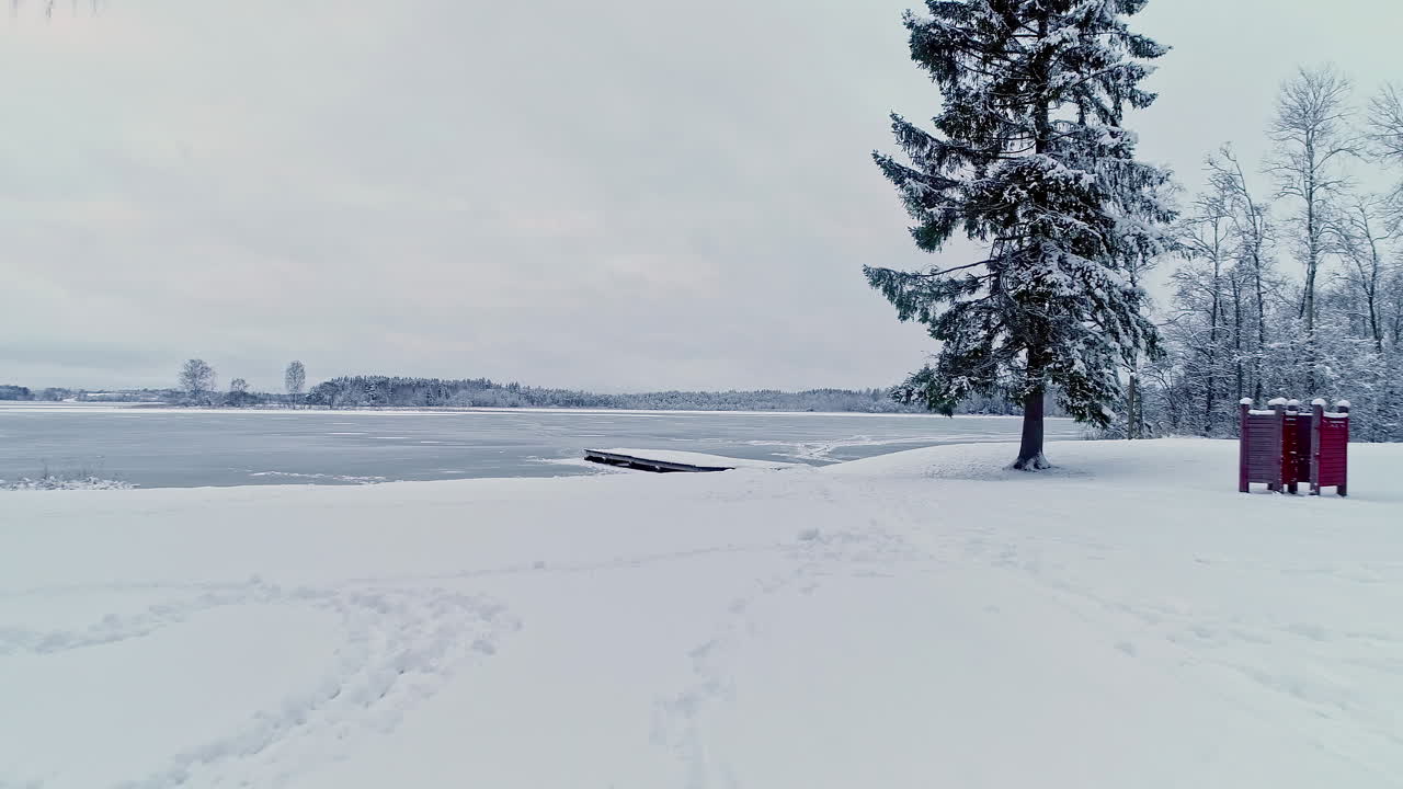 얼어붙은 호수가 있는 겨울 풍경 위로 낮게 날기