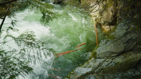 Tree-trunks-floating-down-waterfall,-Lynn-Canyon-Park