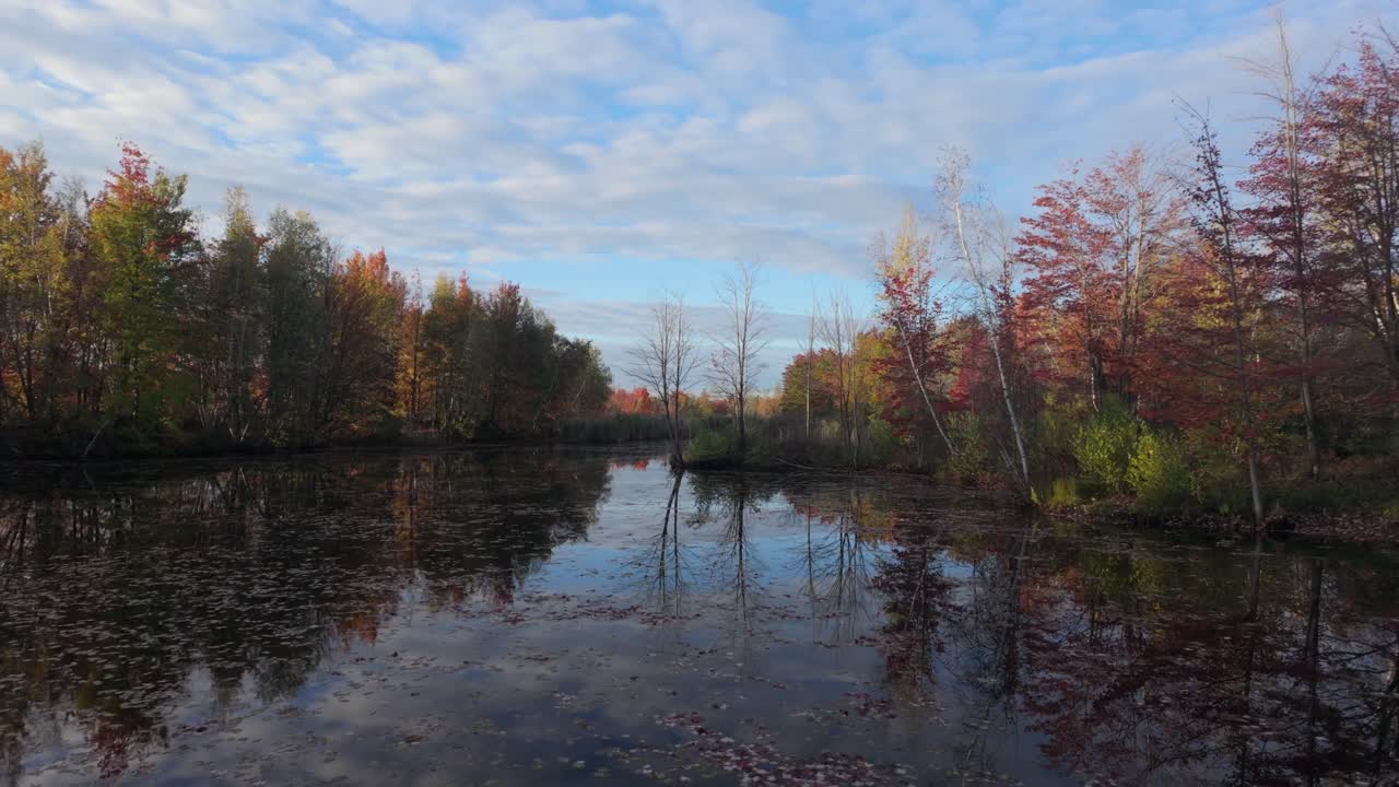 Autumn Nature With Mirror Reflection Over Idyllic Lake At Dawn. Wide Shot