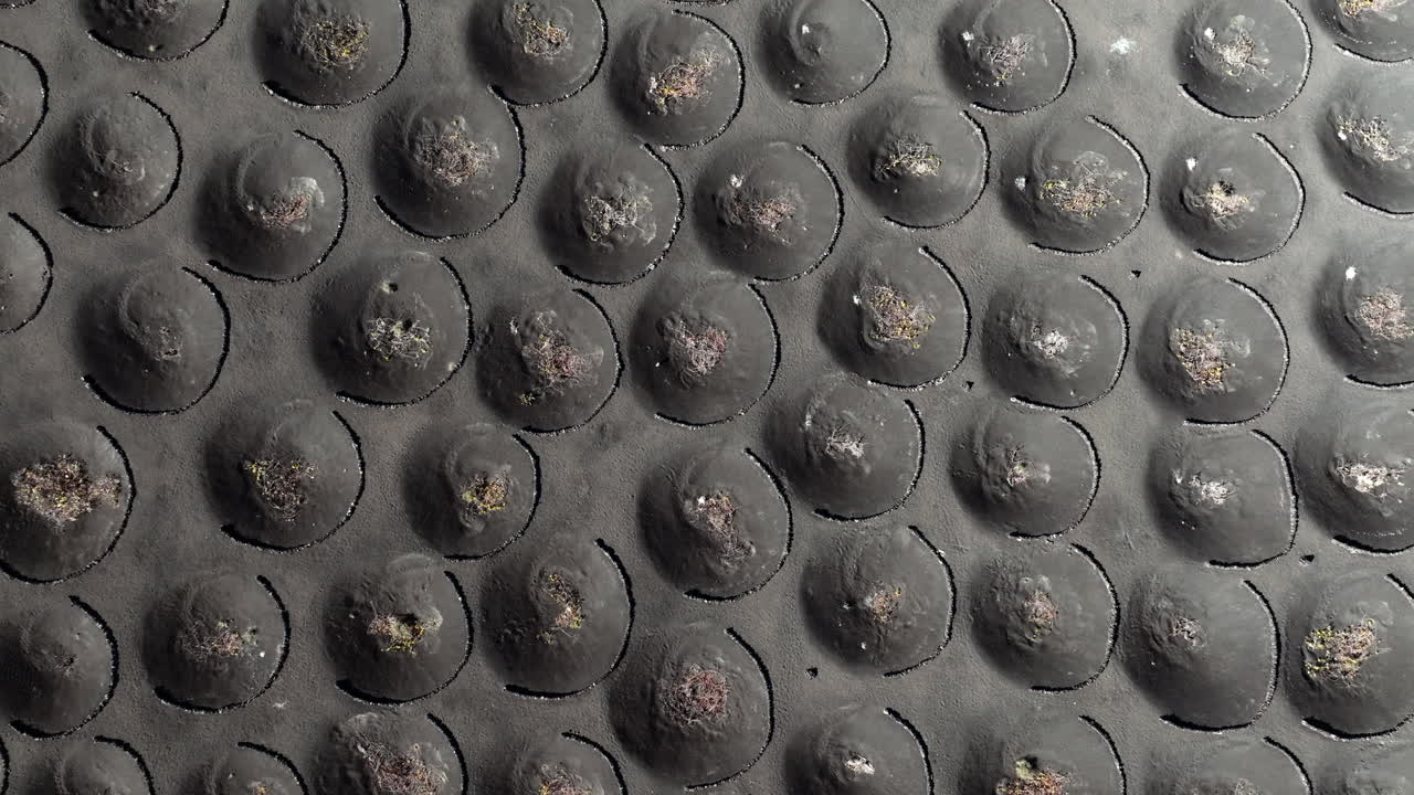 Patterned Volcanic Landscape