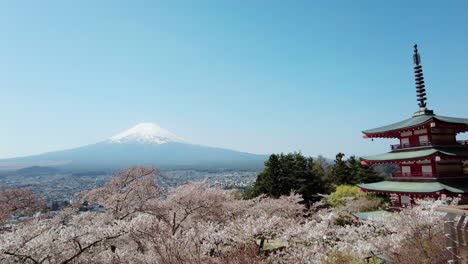 primavera con el fondo de la montaña fuji