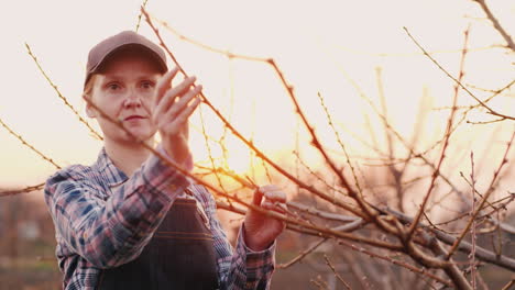 Retrato-De-Una-Mujer-Que-Trabaja-En-El-Jardín-Al-Atardecer-Inspecciona-Los-Brotes-Jóvenes-De-Un-árbol