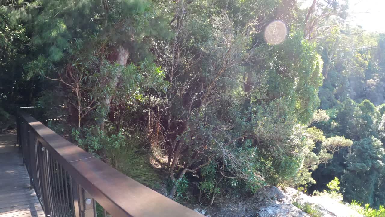 숲 속 의 다리 와 길 을 따라 경치 좋은 산책