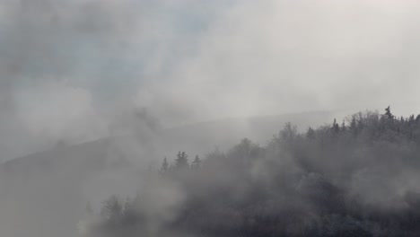 Morgennebel-In-Den-Mit-Wäldern-Bewachsenen-Bergen