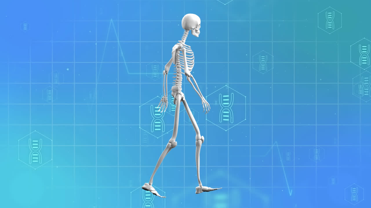 푸른 바탕에 걸어가는 의료 아이콘과 골격의 애니메이션