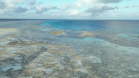 exquisito arrecife expuesto durante la marea baja, revelando el paraíso submarino en las filipinas