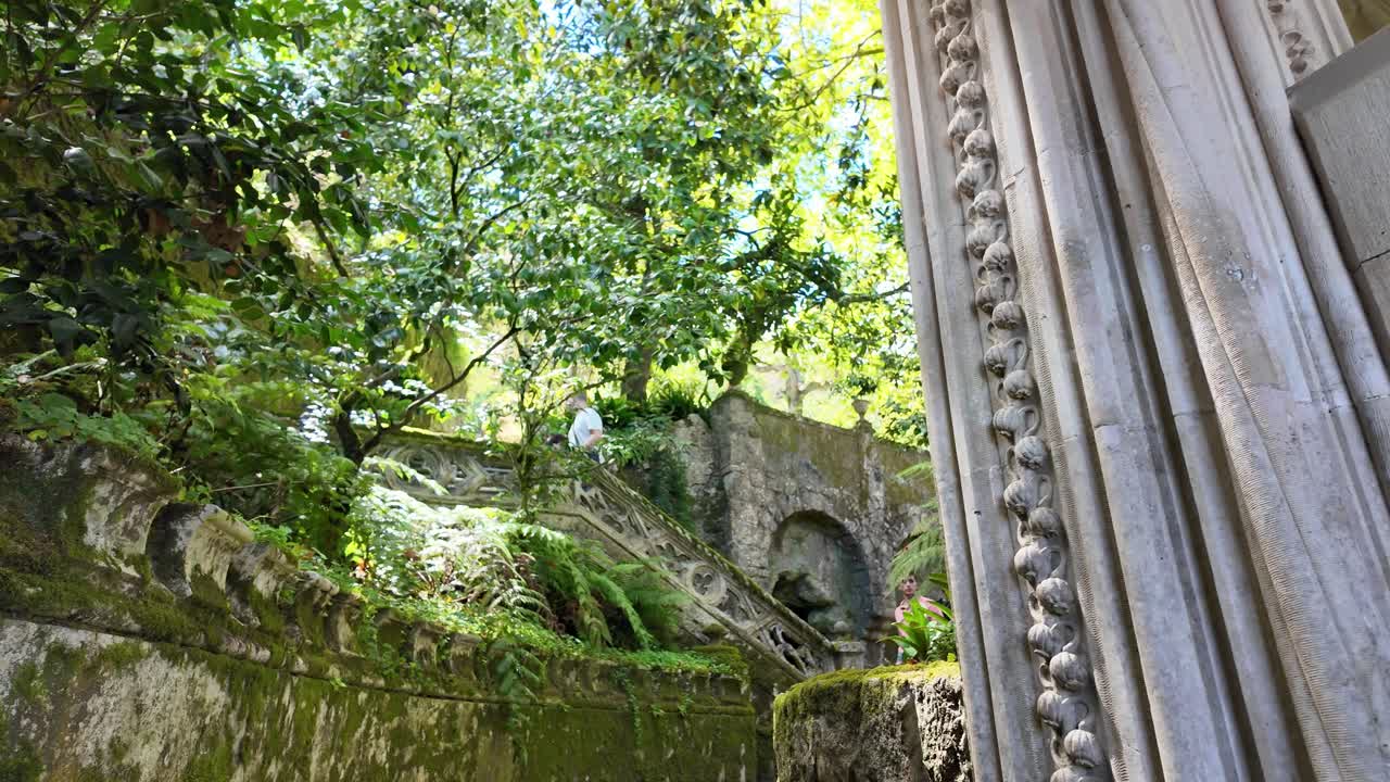 Tall trees and bright blue sky in a scenic park at Quinta da Regaleira, Sintra on a sunny day