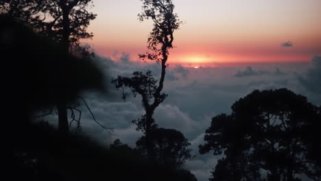 the sun sets in a mountain forest above the clouds in oaxaca, mexico 2