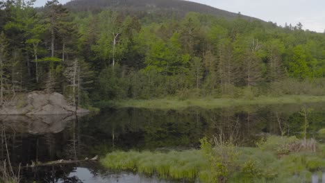 low angle aerial push forward over pleasant river, maine early morning wilderness