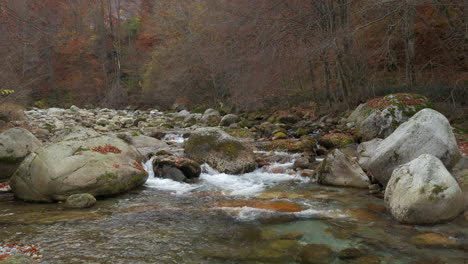 Autumn-river-in-mountain-forest-with-yellow-and-red-foliage-trees