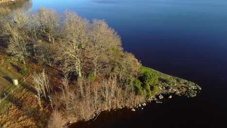 Aerial-view-from-headland-with-bare-trees