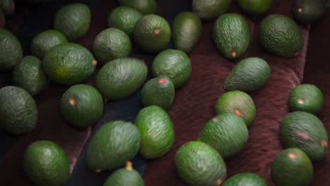 Zeitlupen-Nahaufnahme-Von-Avocados-Auf-Einem-Bürstenband-In-Einem-Verpackungshaus