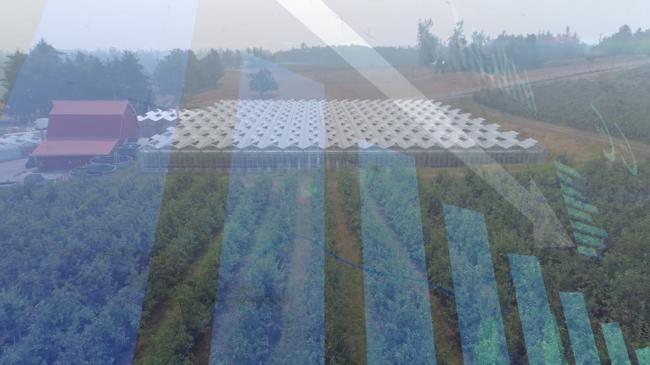 Greenhouse facility being illustrated from above, showing orchard rows, barn, hoses in flat design
